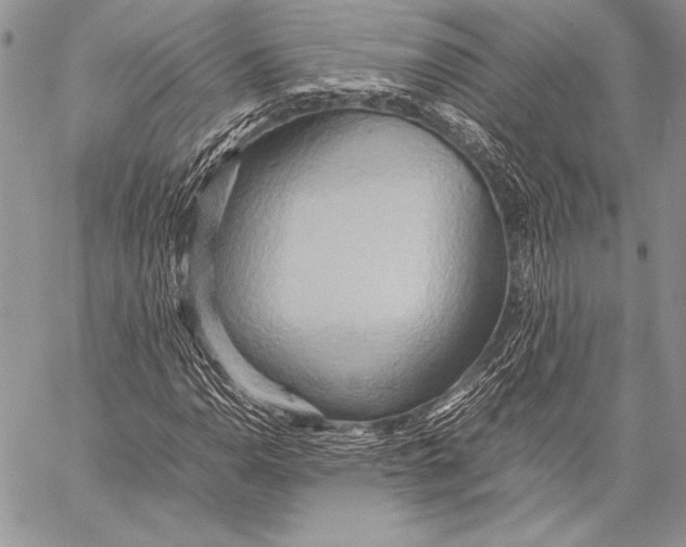 X0000057581110200510171700