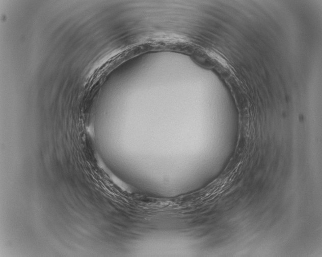 X0000057581112200510171701