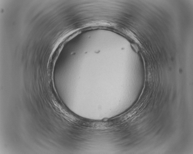 X0000057581116200510171701