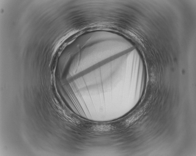 X0000057581117200510171701