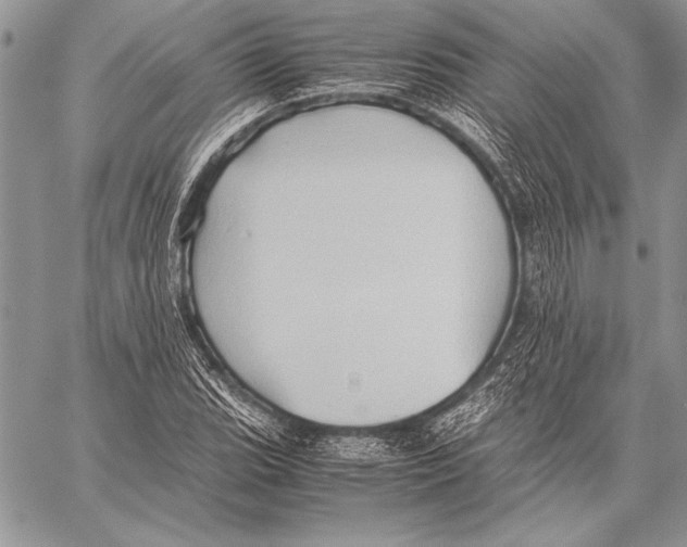 X0000057581119200510171701