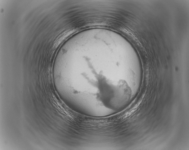 X0000057581121200510171701