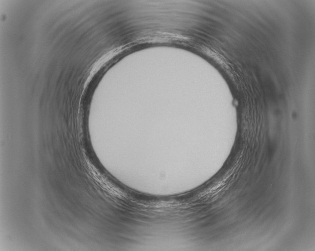 X0000057581122200510171701