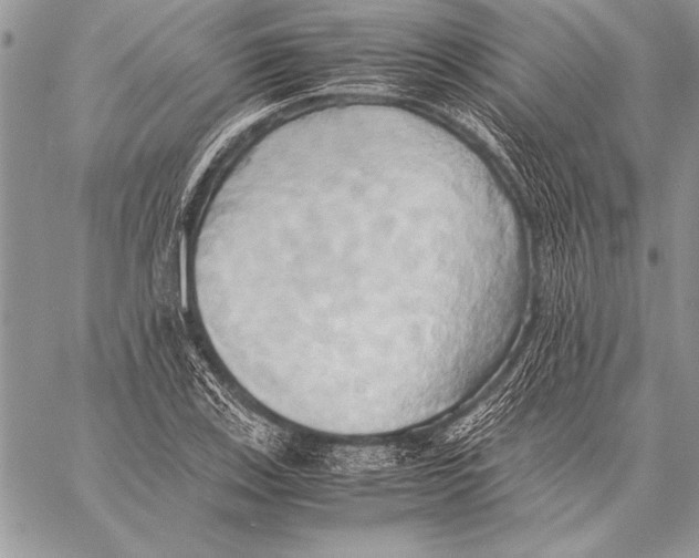 X0000057581123200510171701