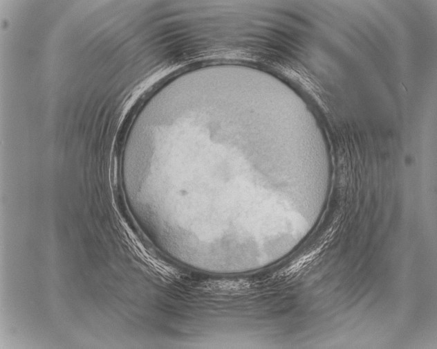 X0000057581125200510171701