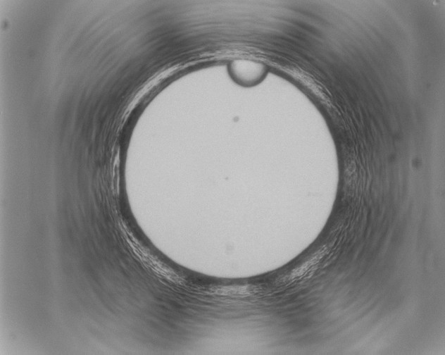 X0000057581126200510171701