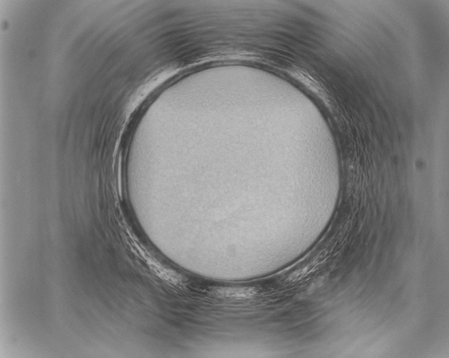 X0000057581127200510171701