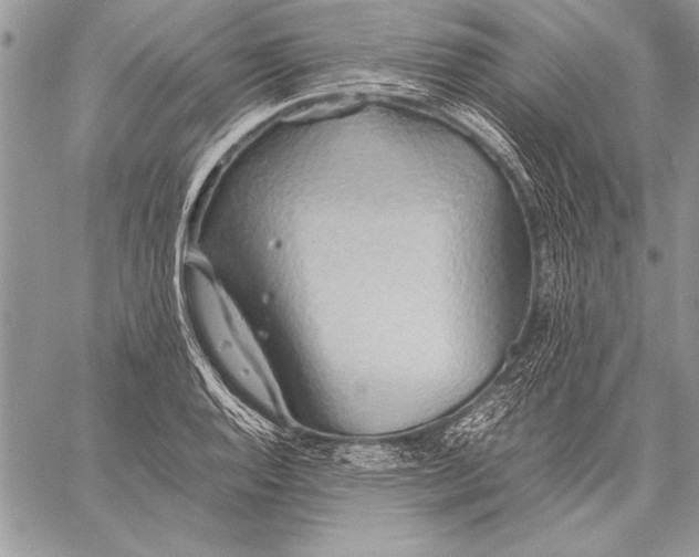 X0000057581128200510171701