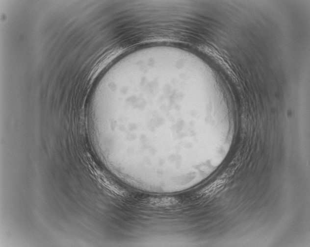 X0000057581129200510171701