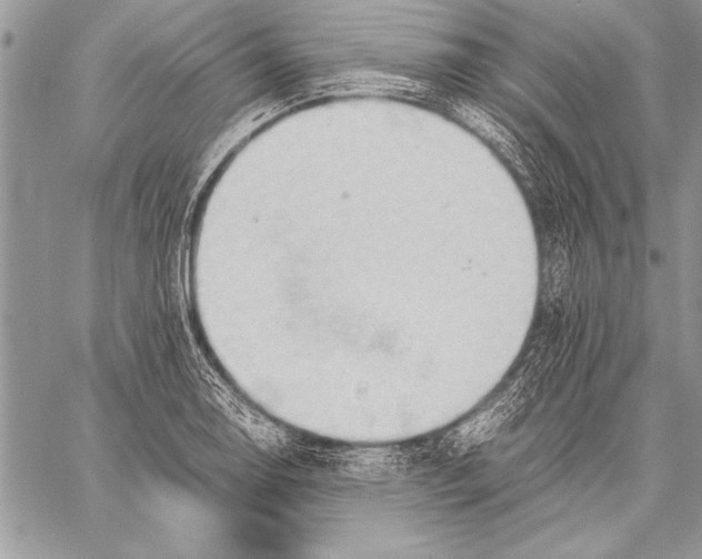 X0000057581130200510171701