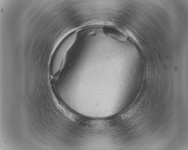 X0000057581132200510171701