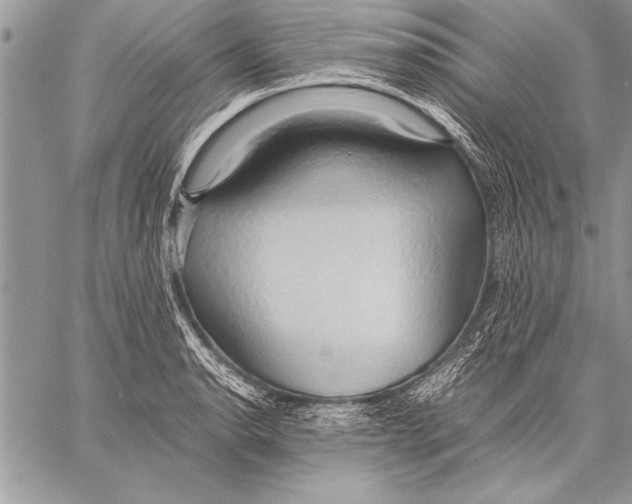 X0000057581134200510171701