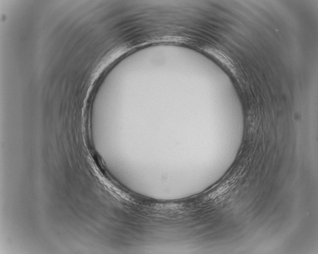 X0000057581135200510171701