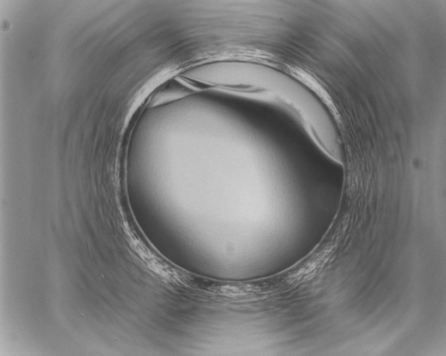 X0000057581138200510171701