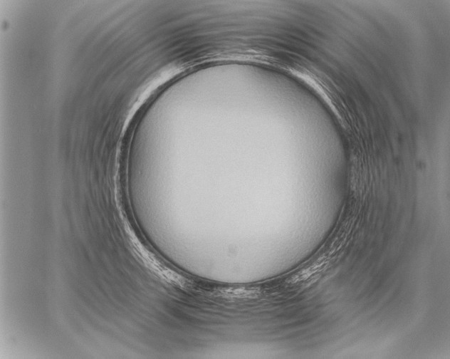 X0000057581139200510171701