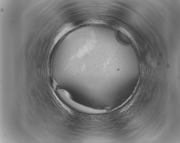 X0000057581141200510171701