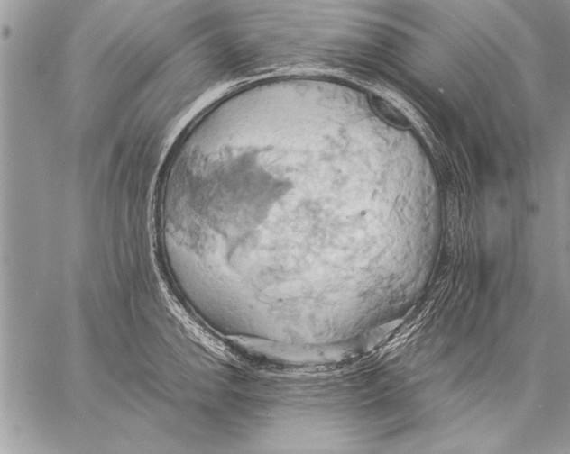 X0000057581142200510171701