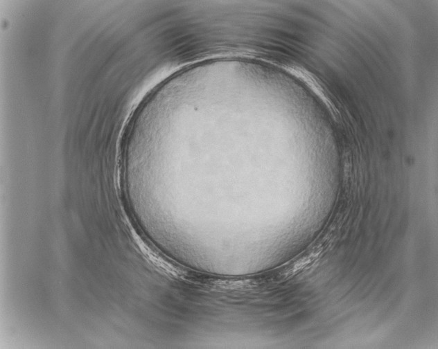 X0000057581143200510171701