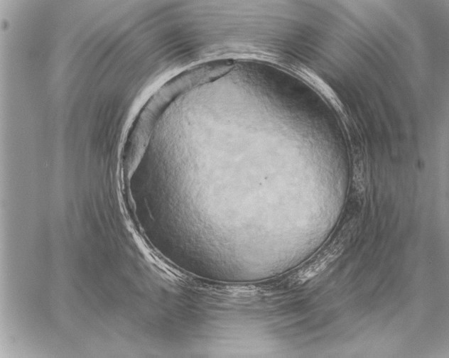 X0000057581144200510171701