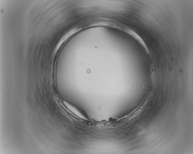 X0000057581146200510171701