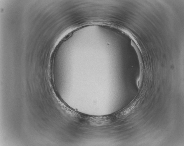 X0000057581147200510171701