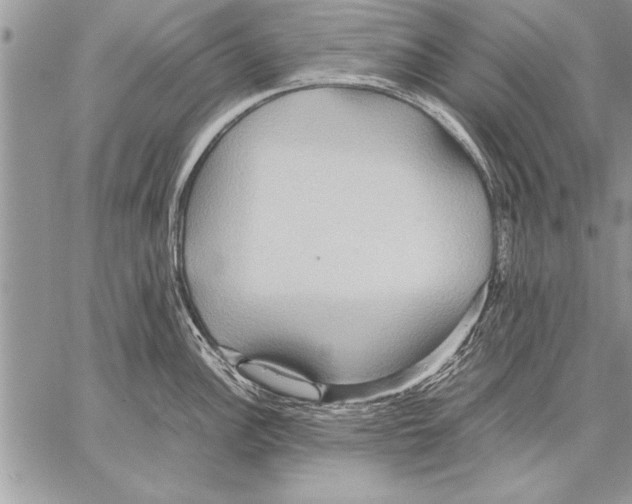 X0000057581148200510171701