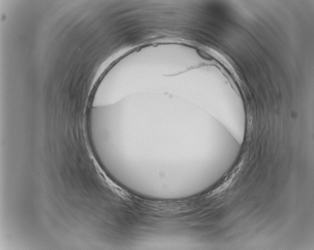 X0000057581149200510171701