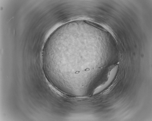 X0000057581151200510171701