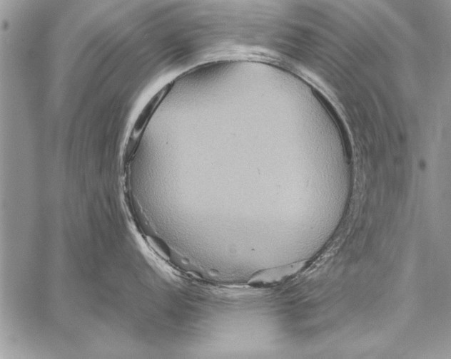 X0000057581152200510171701