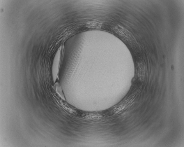 X0000057581154200510171700