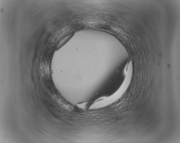 X0000057581155200510171700