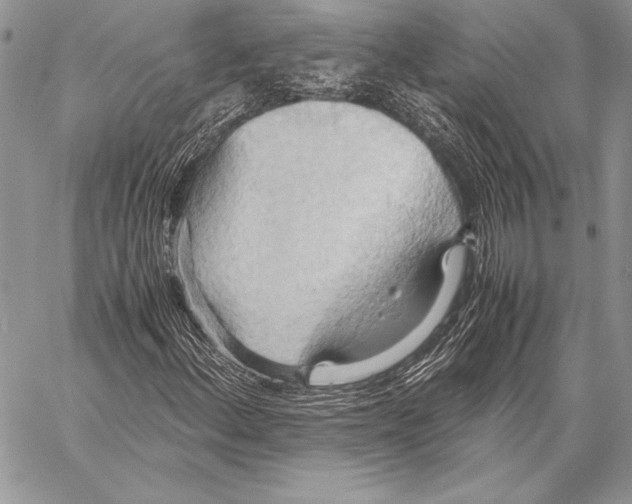 X0000057581156200510171700