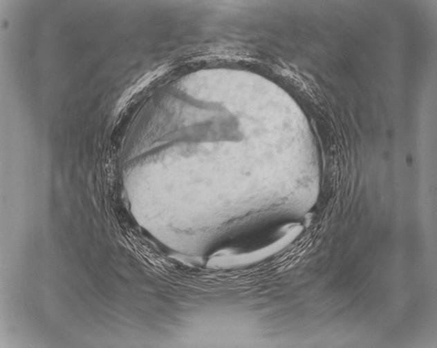 X0000057581159200510171700