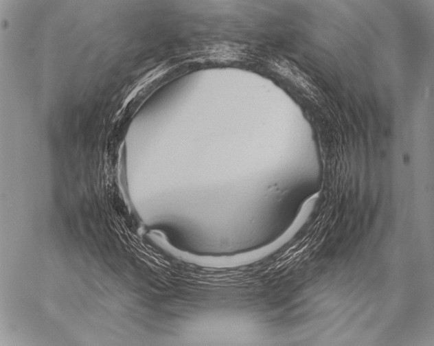 X0000057581160200510171700