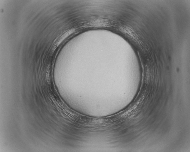 X0000057581162200510171700