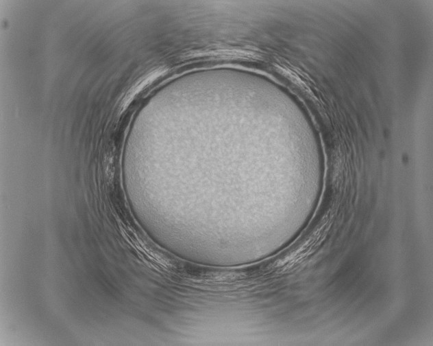 X0000057581163200510171700