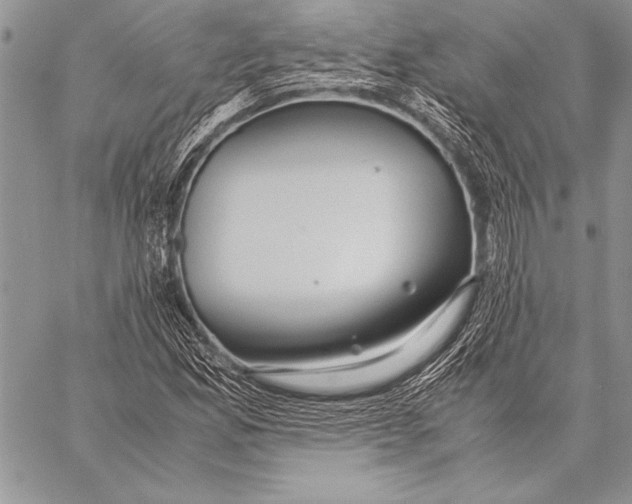 X0000057581165200510171700