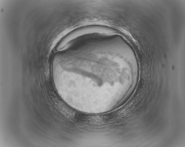 X0000057581167200510171700