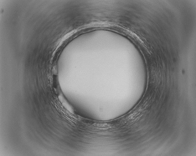 X0000057581168200510171700