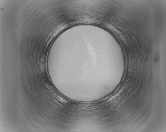 X0000057581170200510171700