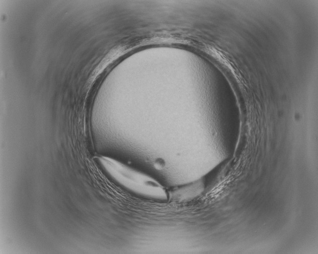 X0000057581173200510171700