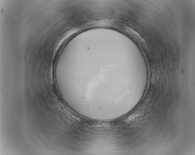 X0000057581174200510171700