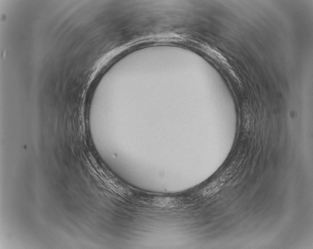 X0000057581176200510171700