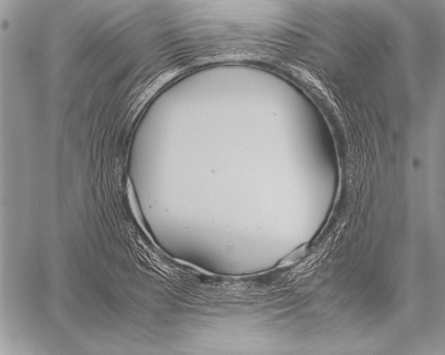 X0000057581177200510171700