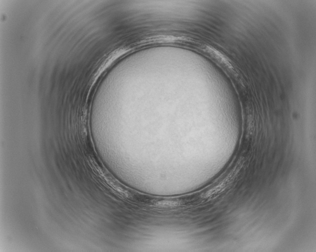 X0000057581178200510171700