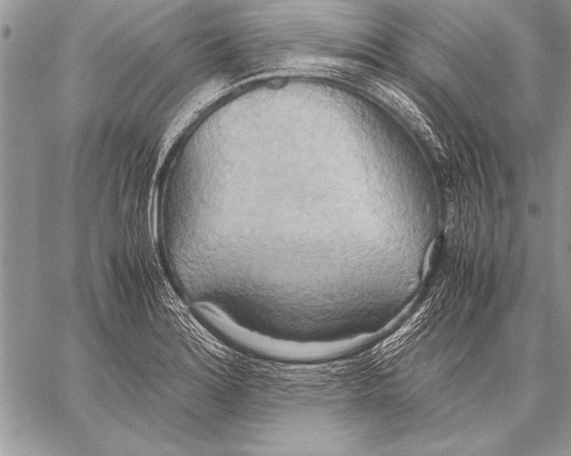 X0000057581180200510171700