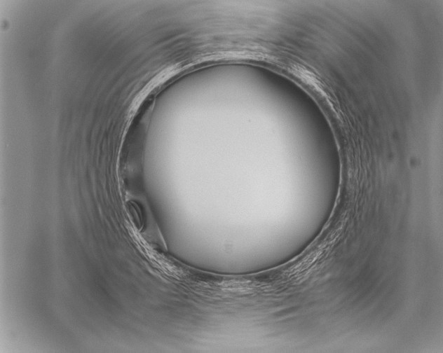 X0000057581181200510171700