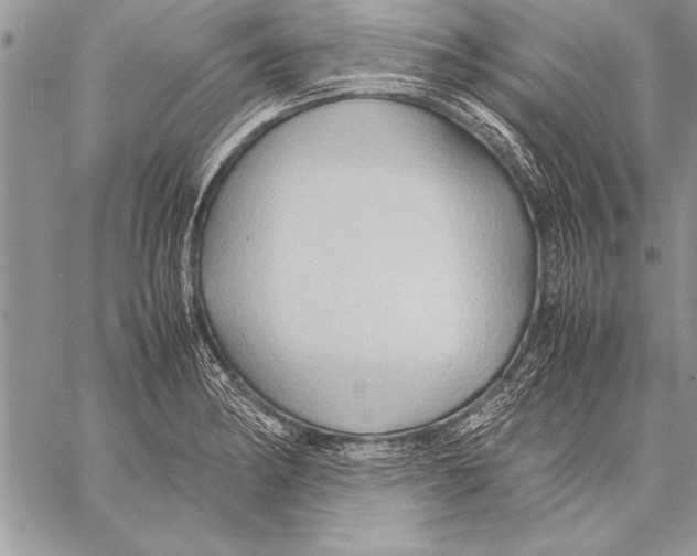 X0000057581182200510171700