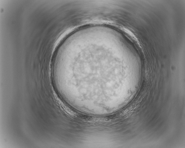 X0000057581183200510171700