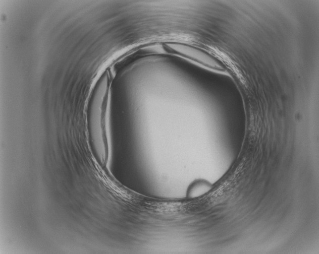 X0000057581184200510171700